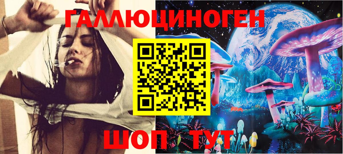 Псилоцибиновые грибы прущие грибы Норильск