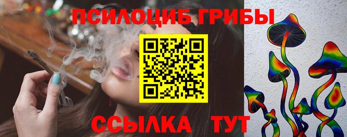 дарнет шоп  Вход с VPN  Норильск  Галлюциногенные грибы GOLDEN TEACHER  Галлюциногенные грибы Psilocybe 